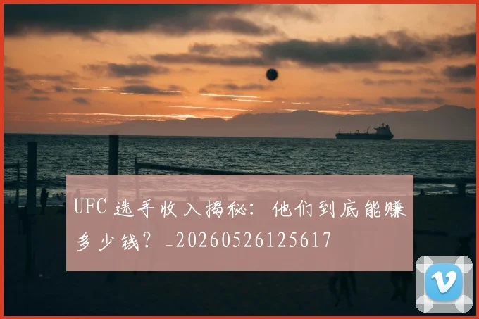 UFC 选手收入揭秘:他们到底能赚多少钱?_20260526125617